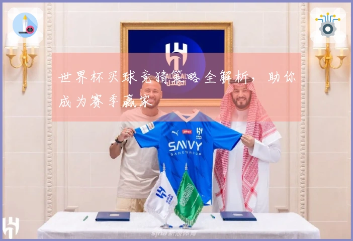 世界杯买球竞猜策略全解析，助你成为赛季赢家