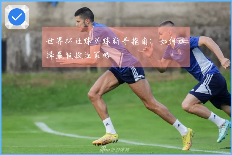世界杯让球买球新手指南：如何选择最佳投注策略
