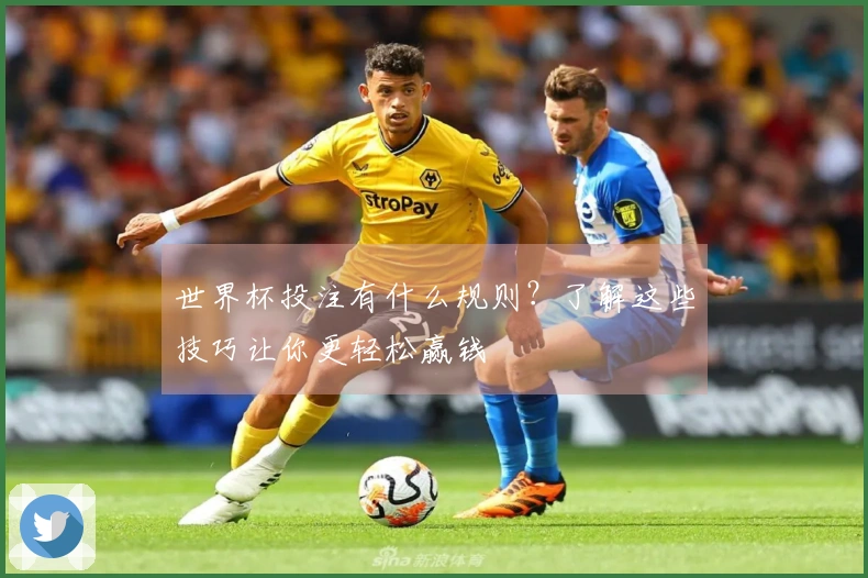 世界杯投注有什么规则？了解这些技巧让你更轻松赢钱