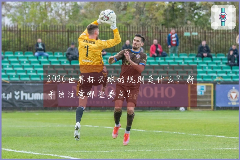 2026世界杯买球的规则是什么？新手该注意哪些要点？