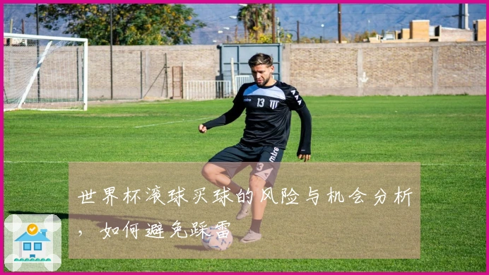 世界杯滚球买球的风险与机会分析，如何避免踩雷