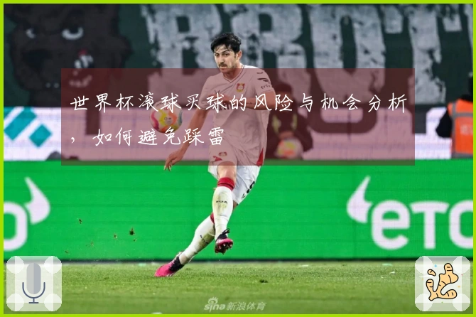 世界杯滚球买球的风险与机会分析，如何避免踩雷