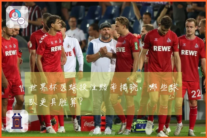 世界杯买球投注赔率揭晓，哪些球队更具胜算？