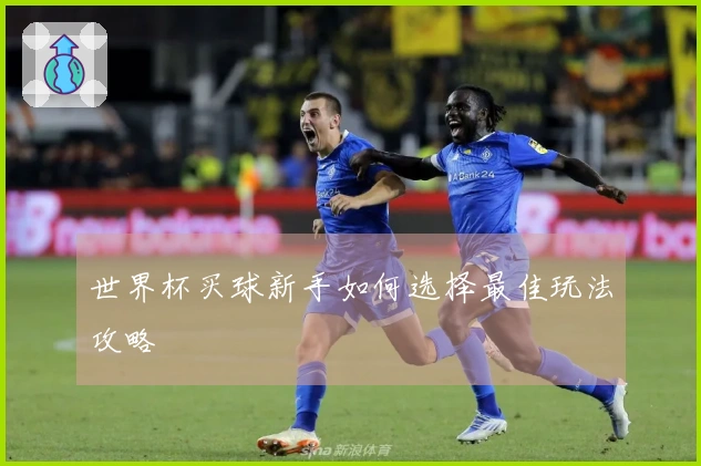 世界杯买球新手如何选择最佳玩法攻略